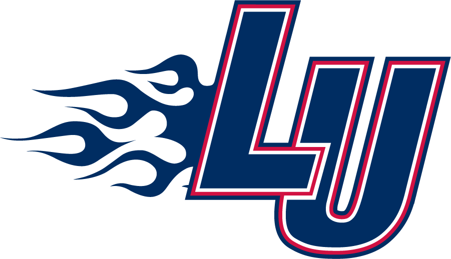 Liberty Flames 2000-2003 Primary Logo iron on transfers for T-shirts
